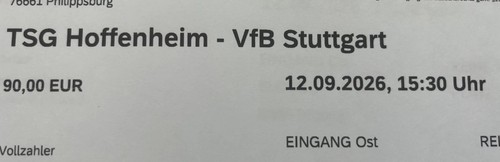 Tsg hoffenheim vfb - hoffenheim,