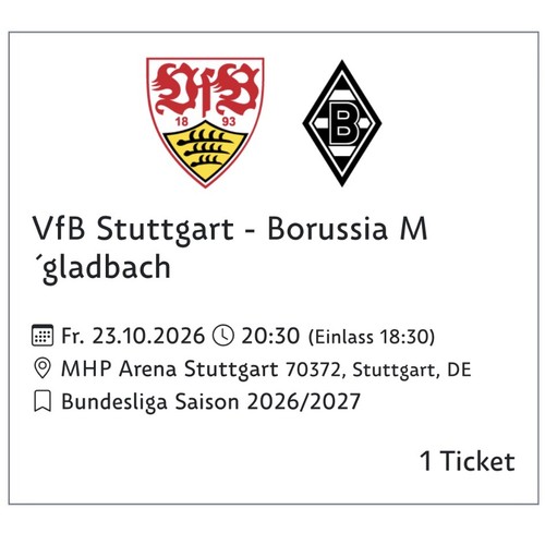 Vfb stuttgart borussia - vfb,
