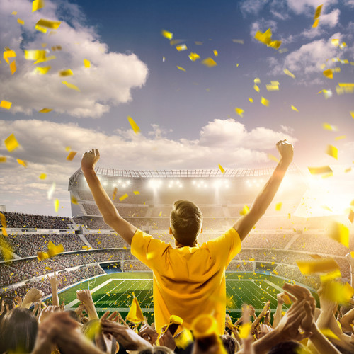 Borussia dortmund vfb - dortmund,